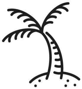 palm tree illo